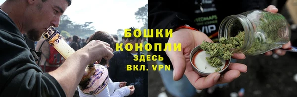 шишки Алексеевка