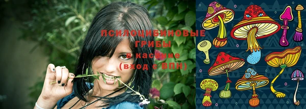 гашик Алзамай